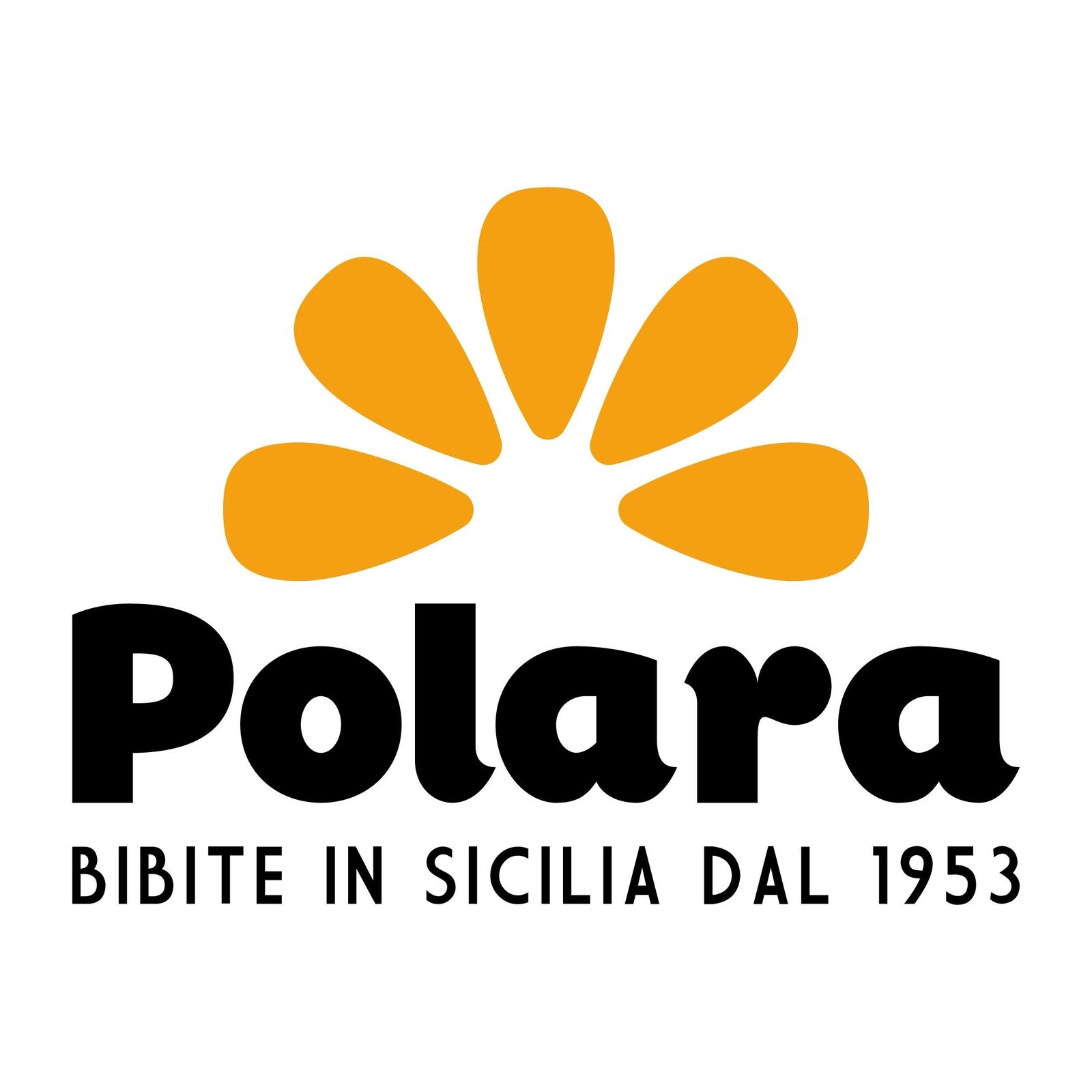 Alimentari Bevande detersivi Sicilia Bedda - GINGER BEER POLARA - Bottiglie da