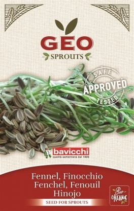 Germogli Di Finocchio Romanesco Geo BAVICCHI