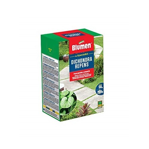 Blumen semi prato dichondra repens 200 g