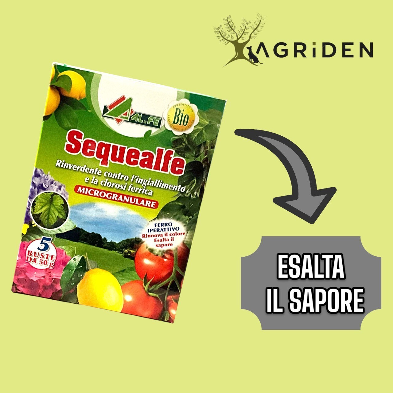 SEQUEALFE BIO CONCIME RINVERDENTE PRATO ALBERI CLOROSI FERRICA  250 g