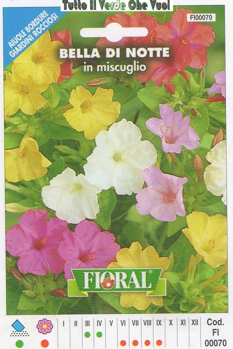 BELLA DI NOTTE - AIUOLE-BORDURE- GIARDINI-FLORAL - BUSTA SEMENTI