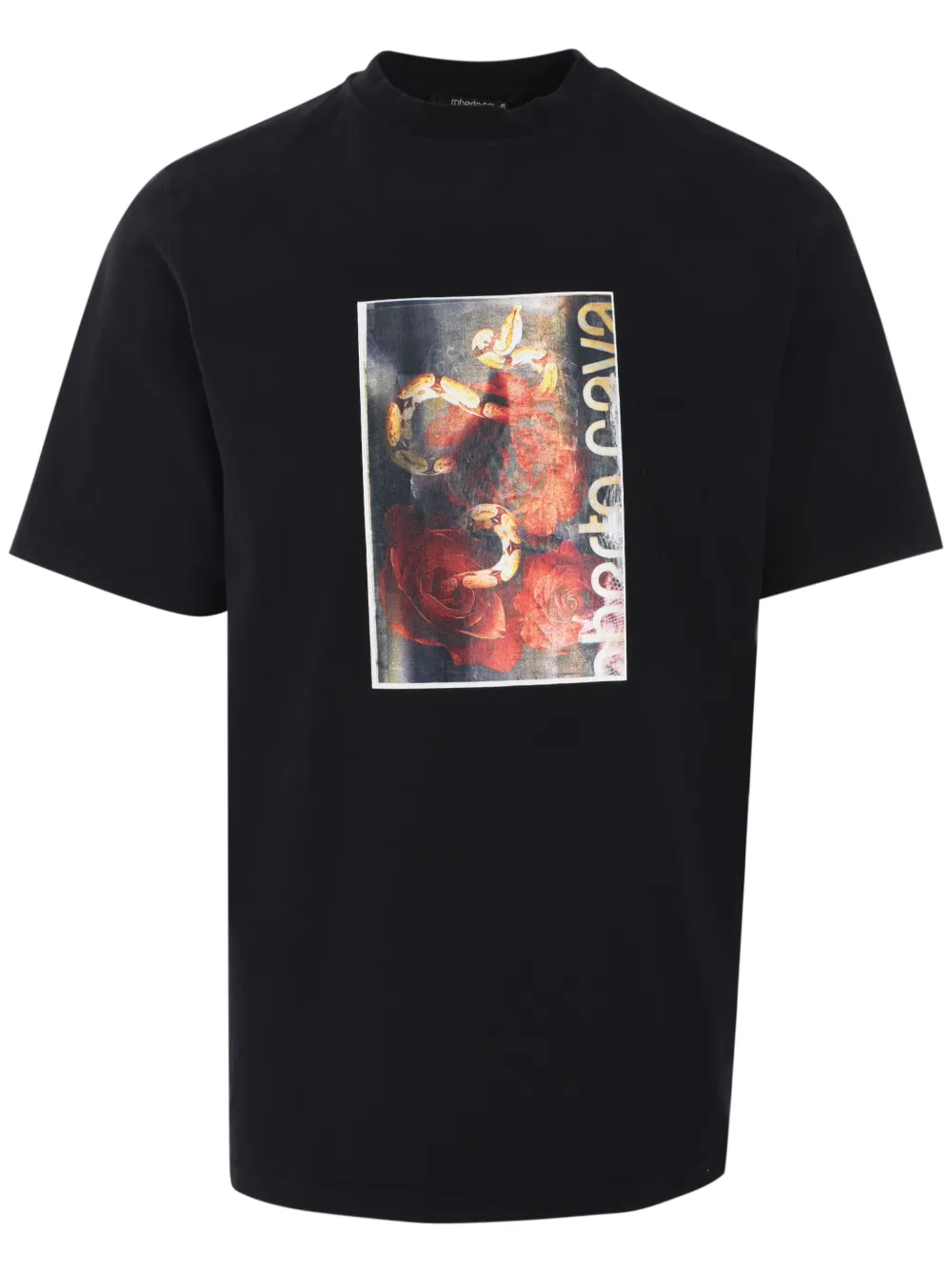 Roberto Cavalli Flyer Rises and Snake t-shirt - Nero