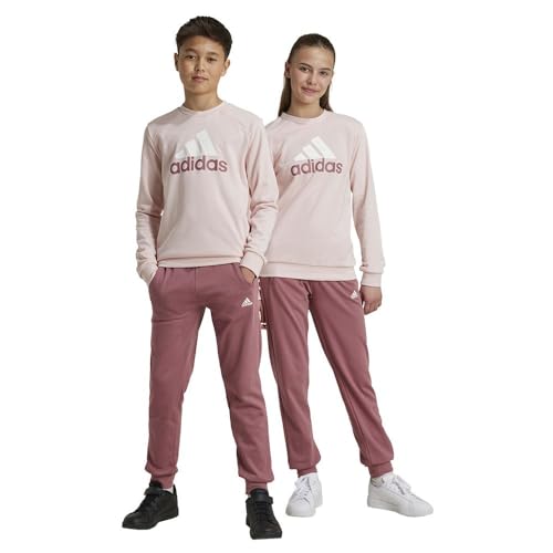 Adidas Essentials Big Logo French Terry Joggers Junior Tracksuit 15-16 Years