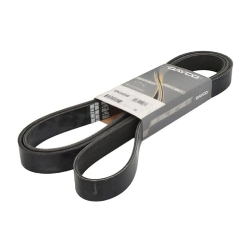 8Pk2482Hd Hd Dayco-Cinghia Poly-V