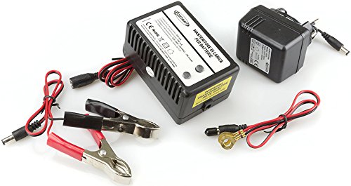 Mantenitore Di Carica Per Batterie 12V Alimentazone Ac 220 Mantenitore Di Carica Per Batterie 12V Alimentazone Ac 220