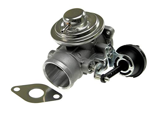 Nty Valvola Ricircolo Gas Scarico-Egr Senza Radiatore-Egr, Con Guarnizioni