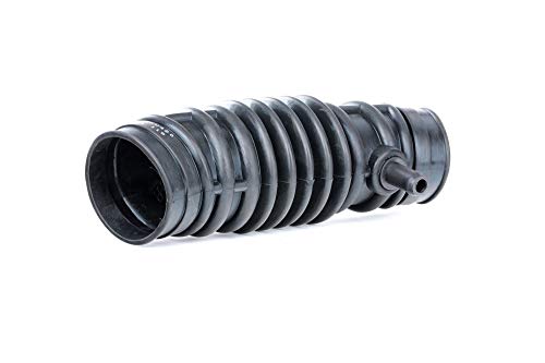 Esen Skv 24Skv420 Tubo Di Aspirazione, Filtro Aria