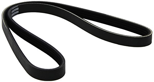 Dayco 4Pk962 Cinghia Poly-V Com.A-Cz Peugeot 305 Grd