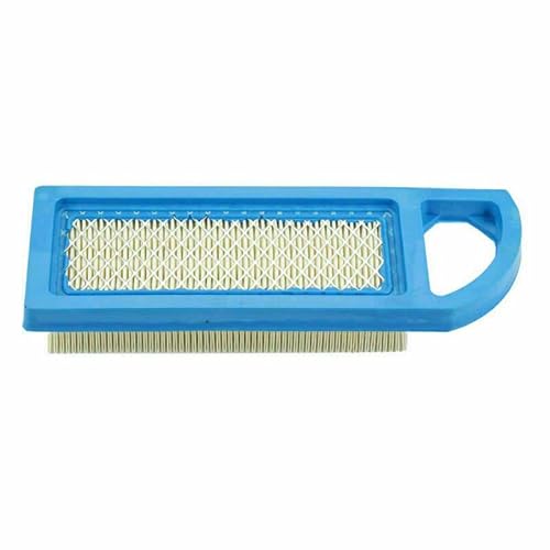 Filtro Aria Per Motore Tagliaerba Briggs & Stratton (29275