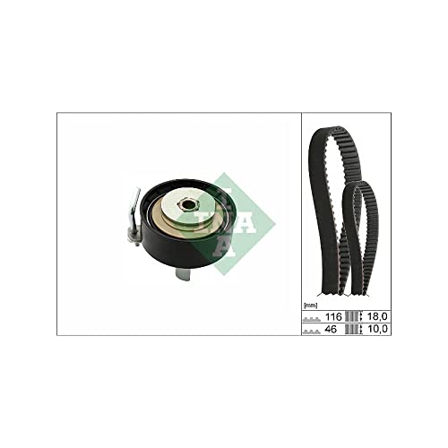 Ina Set Cinghia Distribuzione 530070110