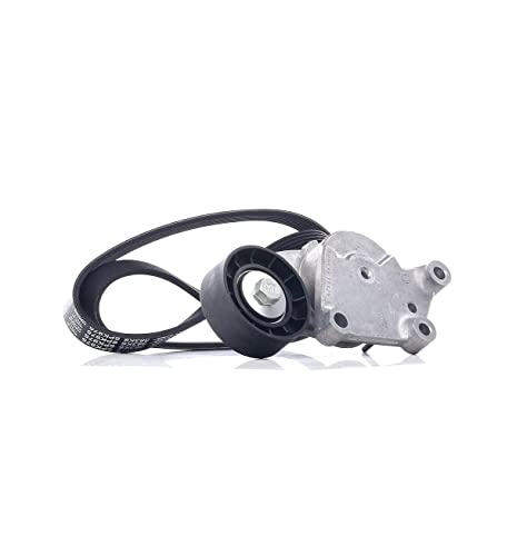 Dayco Kit Cinghie Poly-V Kpv408 V50 (545) C30 (533) V60 (155, 157) 1,0Kg