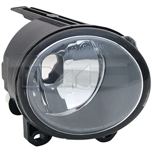 Proiettore Fendinebbia Destro (Lato Passeggero) Bmw X5 (E53) (05/2000)