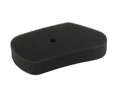 Greenstar 27576 A - Filtro Aria