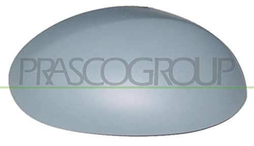 Prasco Ci2017403 - Copertura, Specchio Esterno