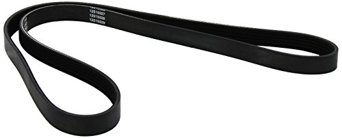 Metzger 5Pk1263 Cinghia Poly-V