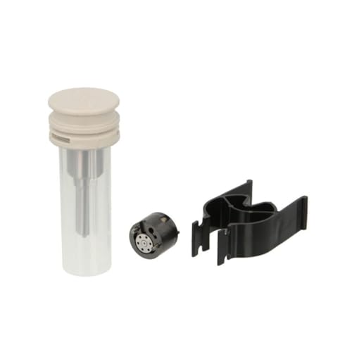 Delphi Automotive 7135 – 581 Kit Di Valvola Iniettore