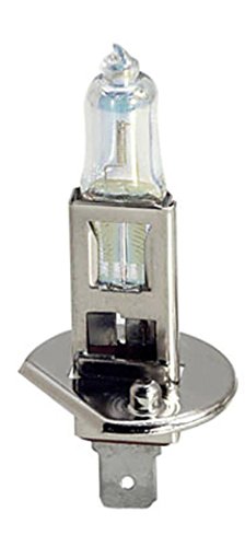 H1 Lampadina Alogena Di Ricambio Per Moto E Scooter 12V 55W