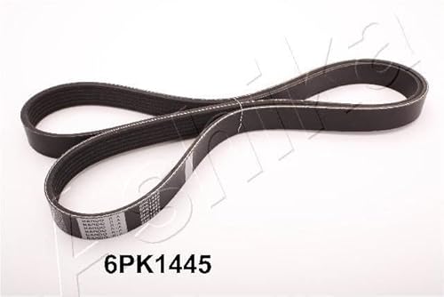 Ashika 112-6Pk1445 - Cinghia Poly-V