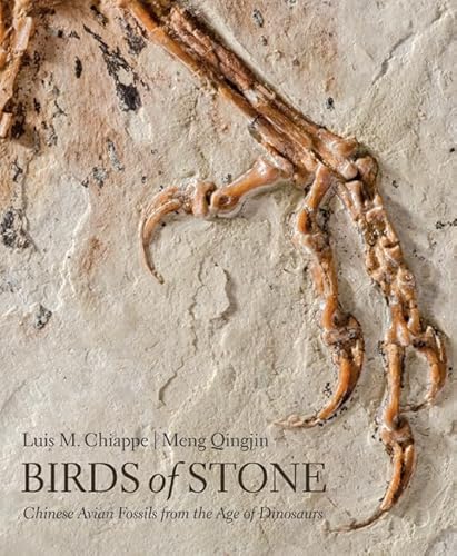 Birds Of Stone: Chinese Avian Fossils From The Age Of Dinosaurs
