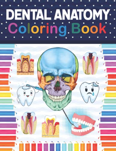 Dental Anatomy Coloring Book: Fun And Easy Adult Coloring Book For Dental Assistants, Dental Students, Dental Hygienists, Dental Therapists, Periodont