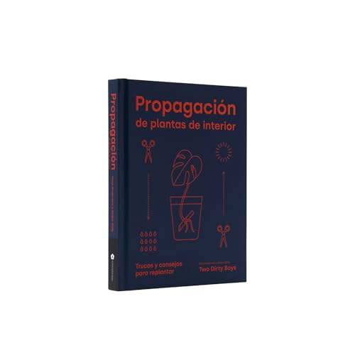 Propagación De Plantas De Interior / Propagate: Trucos Y Consejos Para Replantar / How To Regrow Your Houseplants