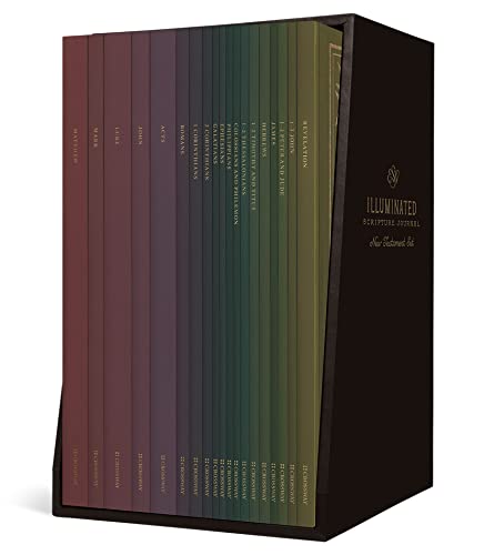 Holy Bible: English Standard Version, Illuminated Scripture Journal; New Testament Set: New Testament Set (Paperback)