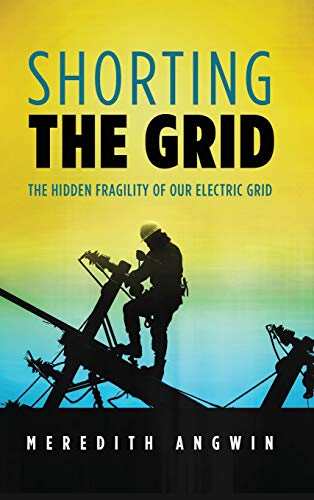 Shorting The Grid: The Hidden Fragility Of Our Electric Grid