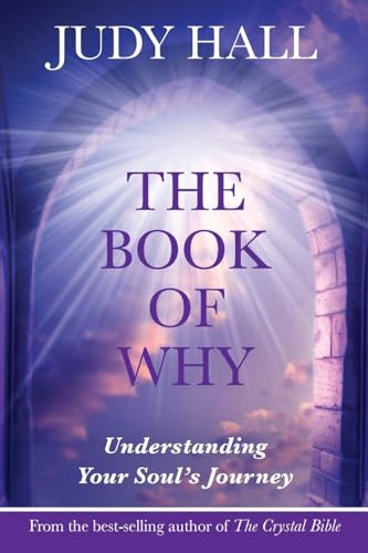 The Book Of Why: Understanding Your Soul'S Journey