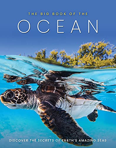 The Big Book Of The Ocean: Discover The Secrets Of The Earth'S Amazing Seas