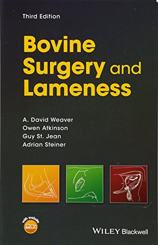Bovine Surgery And Lameness