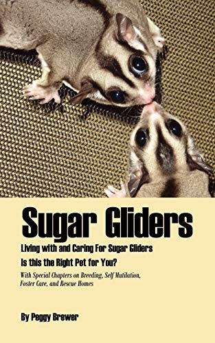 Sugar Gliders: Living With And Caring For Sugar Gliders: Living With And Caring For Sugar Gliders Is This The Right Pet For You?
