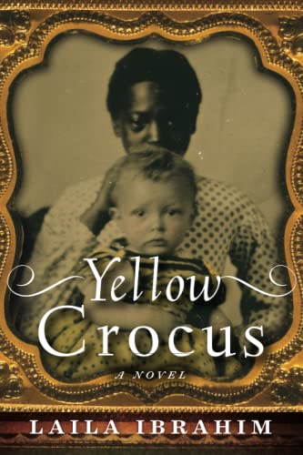 Yellow Crocus: 1
