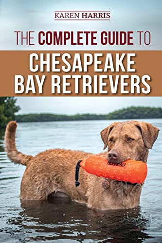 The Complete Guide To Chesapeake Bay Retrievers: Training, Socializing, Feeding, Exercising, Caring For, And Loving Your New Chessie Puppy