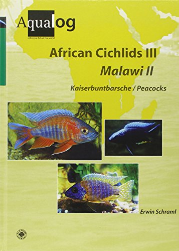 African Cichlids 03. Malawi Ii: Kaiserbuntbarsche / Peacocks