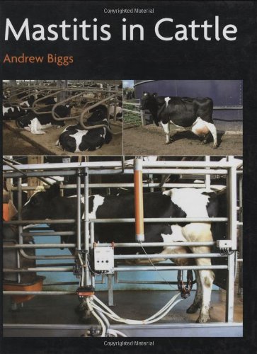 Mastitis In Cattle