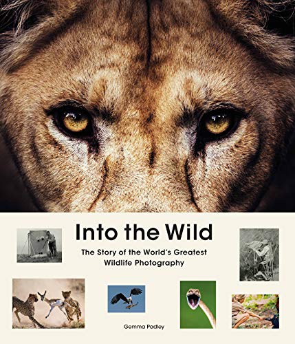 Into The Wild: The Story Of The World'S Greatest Wildlife Photography