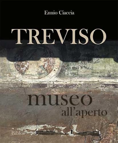 Treviso Museo All'Aperto. Ediz. Bilingue