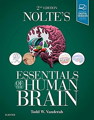 Nolte'S Essentials Of The Human Brain, 2Ed: With Student Consult Online Access