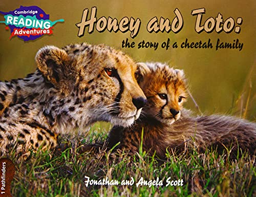 Honey And Toto: The Story Of A Cheetah Family. Pathfinders. Cambridge Reading Adventures: 1