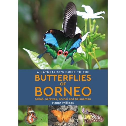 A Naturalist'S Guide To The Butterflies Of Borneo (Naturalists' Guides)