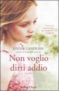 Non Voglio Dirti Addio