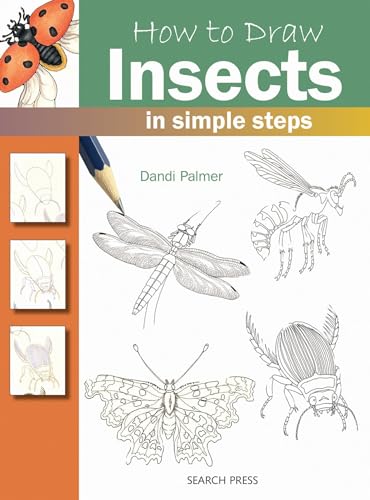 How To Draw: Insects
