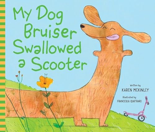 My Dog Bruiser Swallowed A Scooter