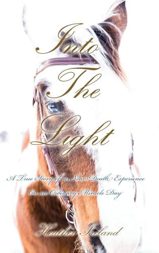 Into The Light: A True Story Of A Near-Death Experience On An Ordinary Miracle Day