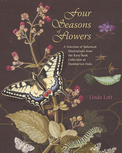 Four Seasons Of Flowers: A Selection Of Botanical Illustrations From The Rare Book Collection At Dumbarton Oaks