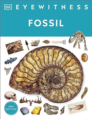 Eyewitness Fossil