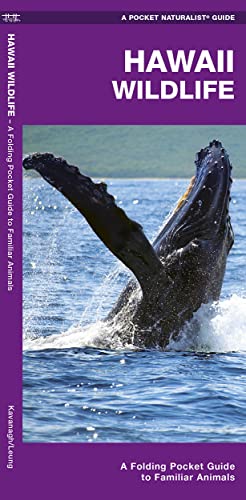 Hawaii Wildlife: A Folding Pocket Guide To Familiar Animals: A Folding Pocket Guide To Familiar Species