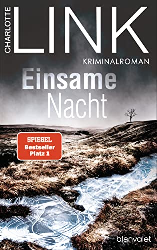 Einsame Nacht: Kriminalroman: 4