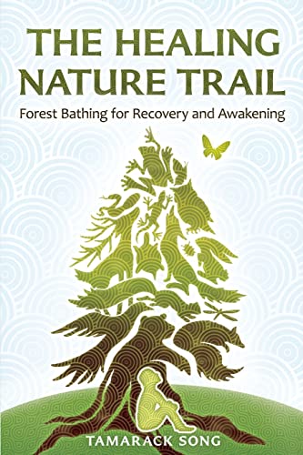 The Healing Nature Trail: Forest Bathing For Recovery And Awakening