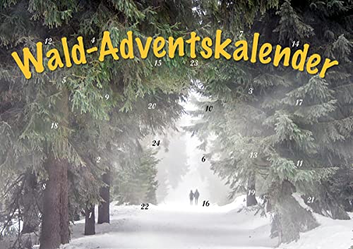 Durch Den Wald Im Advent: Erlebnisraum Wald: Tiere, Pflanzen Und Bäume In Bild Und Text